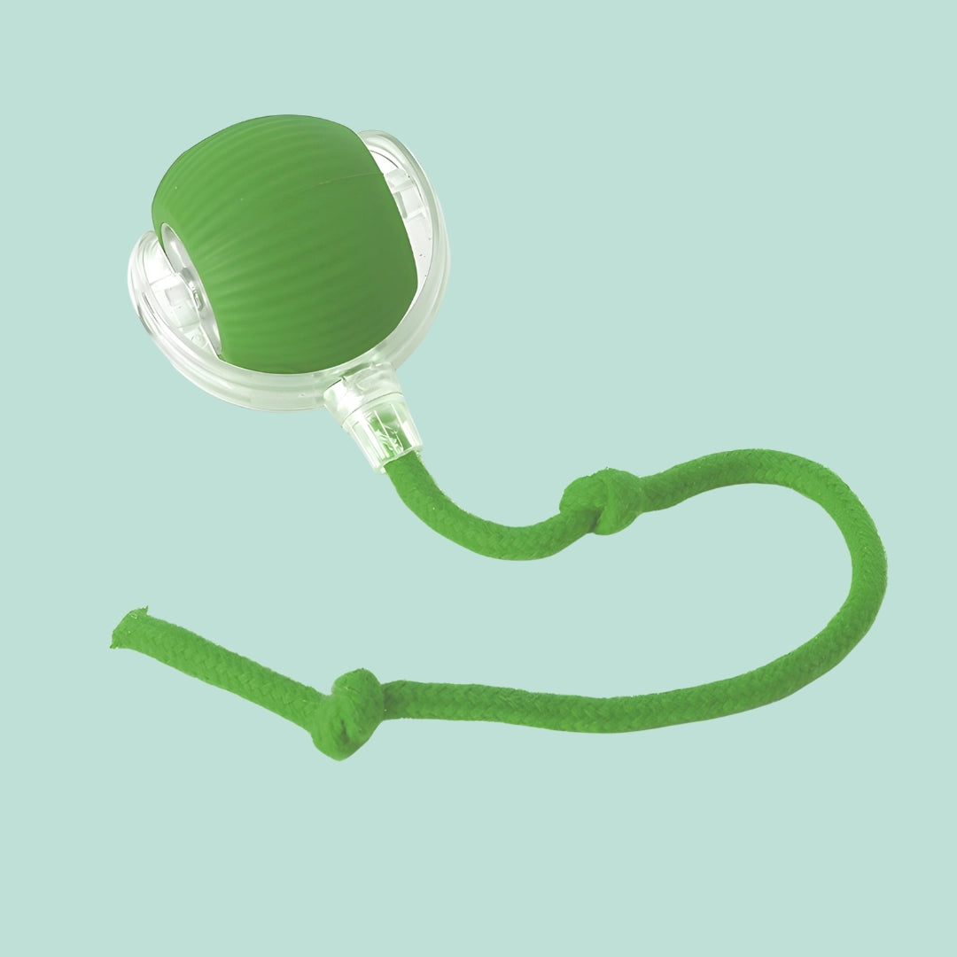 PlayPaw™ – Balle intelligente