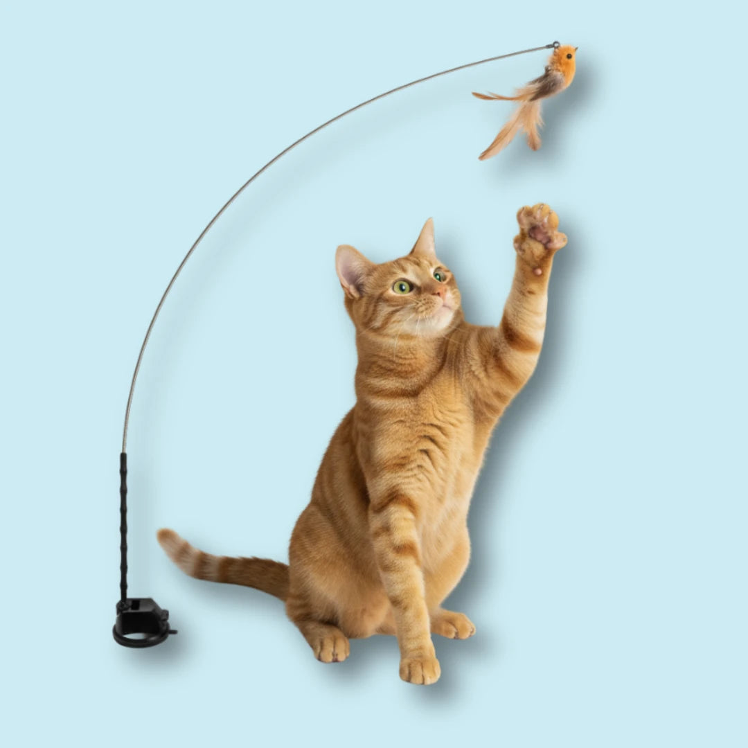 Set Original – Simulateur de chasse à l’oiseau