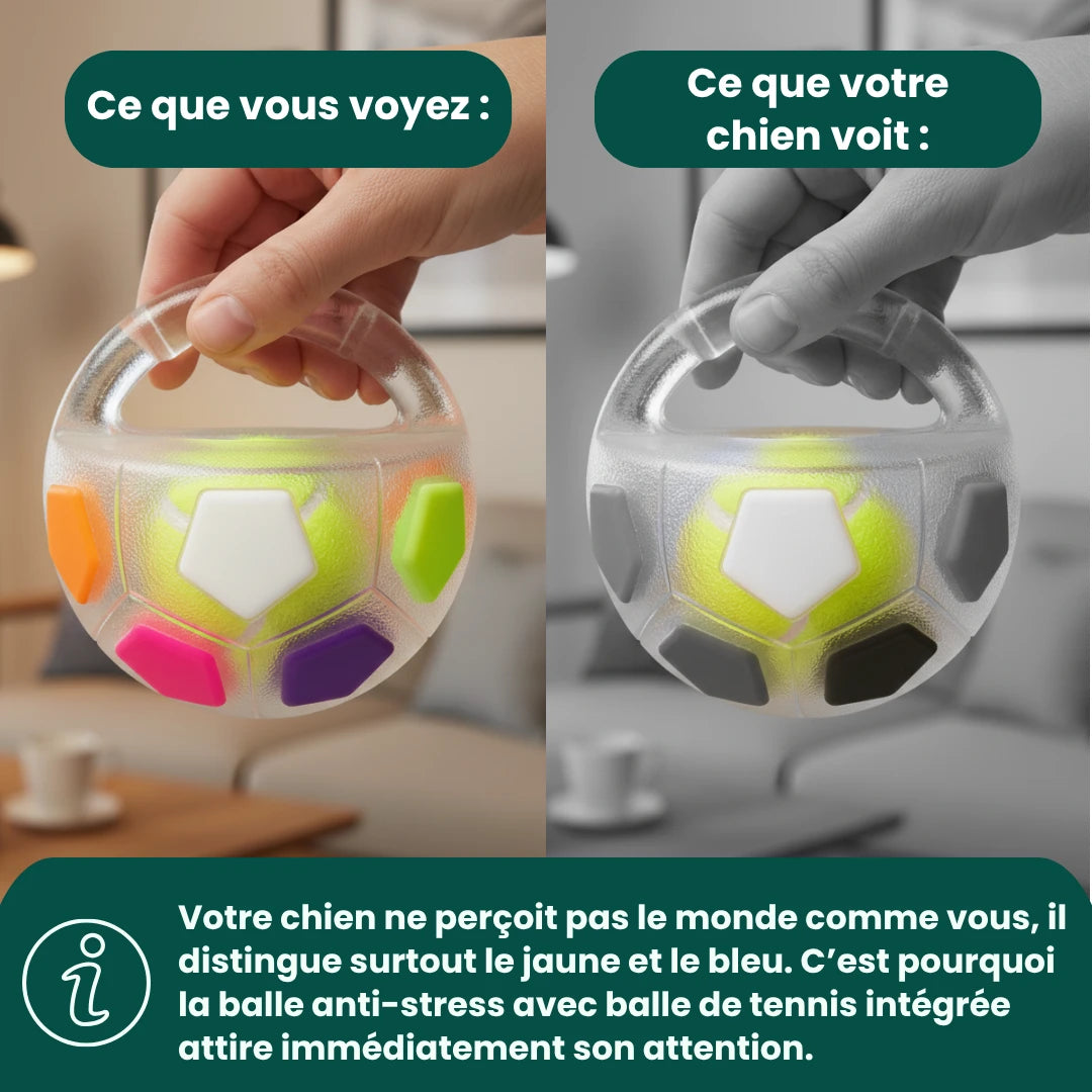 Zenpaw™ - Balle Anti-Stress