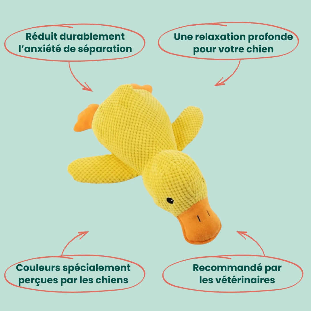 CalmPaw™ - Canard Anti-Stress