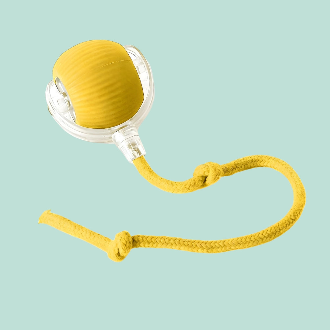 PlayPaw™ – Balle intelligente