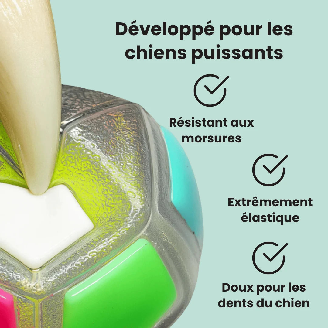 Zenpaw™ - Balle Anti-Stress