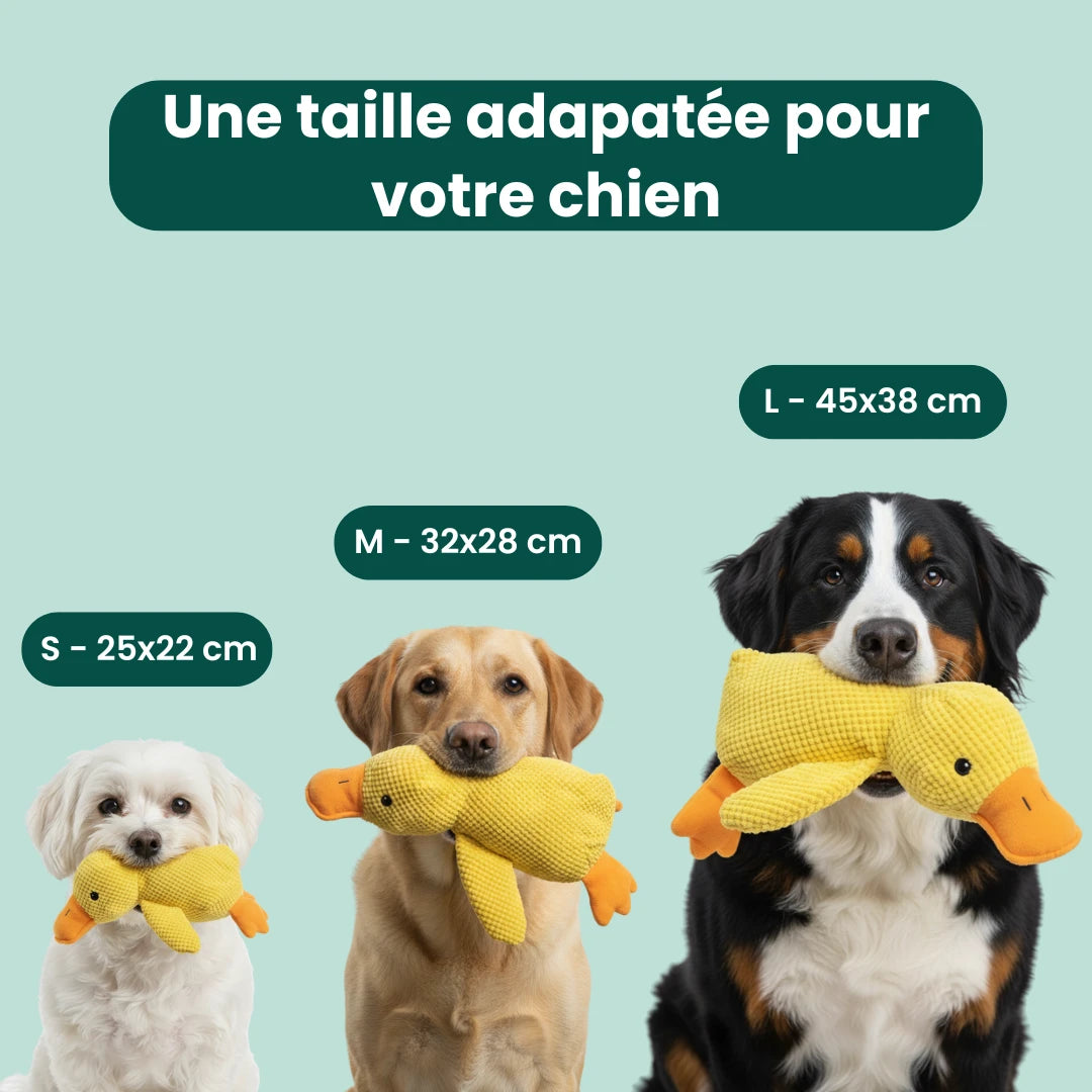 CalmPaw™ - Canard Anti-Stress