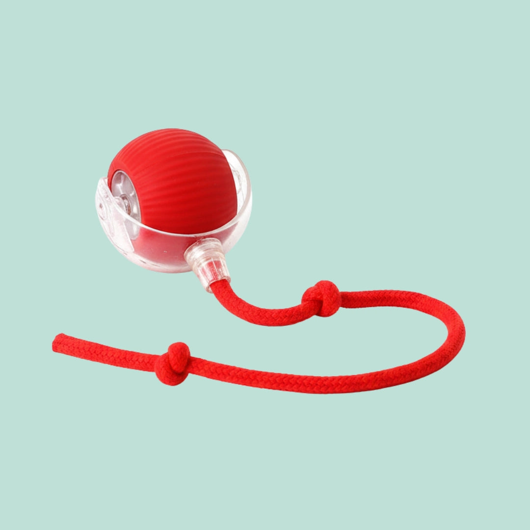 PlayPaw™ – Balle intelligente