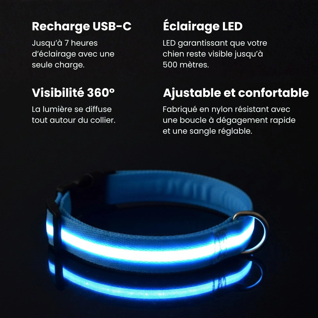 SafeLight™ – Collier Lumineux pour Chien