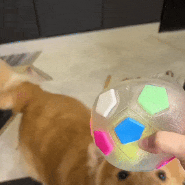 Zenpaw™ - Balle Anti-Stress