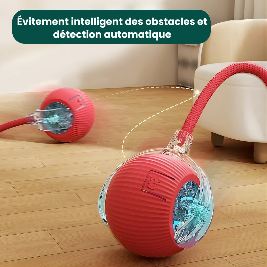 PlayPaw™ – Balle intelligente