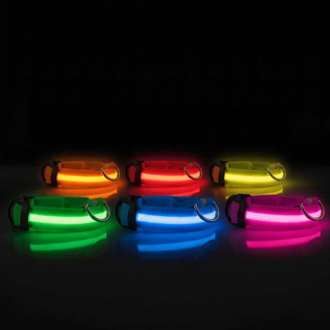 SafeLight™ – Collier Lumineux pour Chien