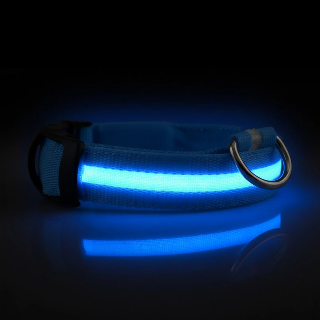 SafeLight™ – Collier Lumineux pour Chien