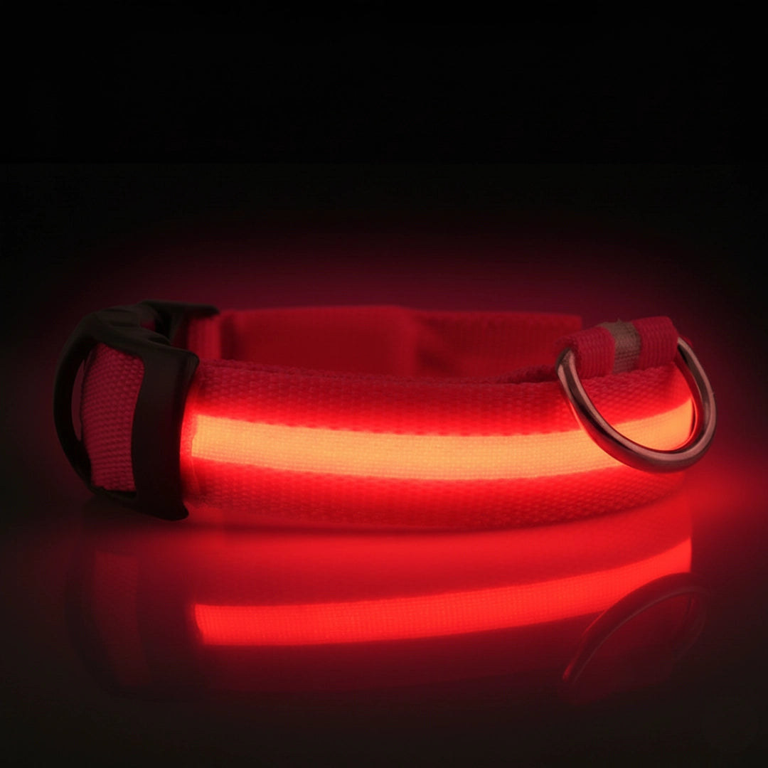 SafeLight™ – Collier Lumineux pour Chien