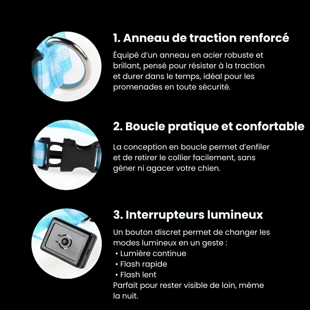 SafeLight™ – Collier Lumineux pour Chien