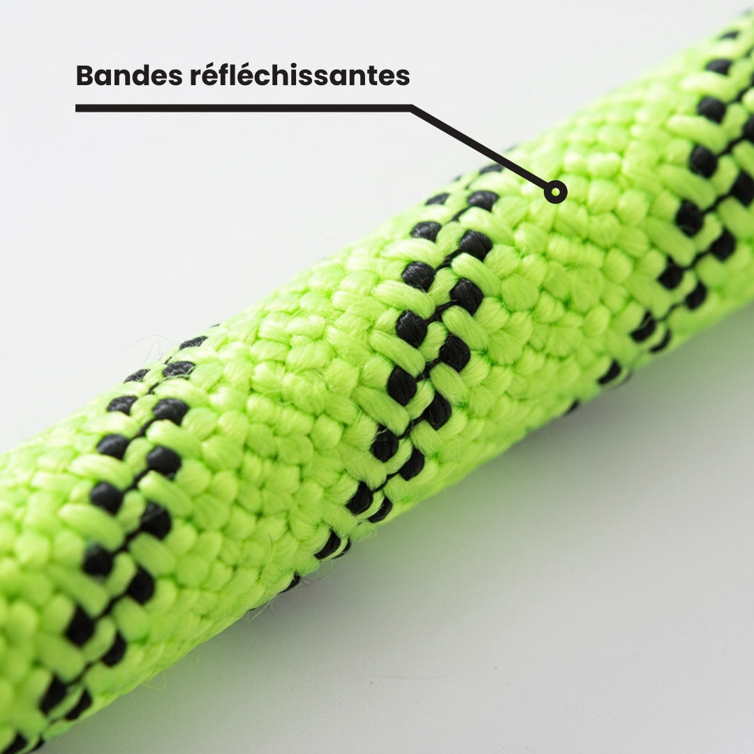 Laisse pour chien réfléchissante