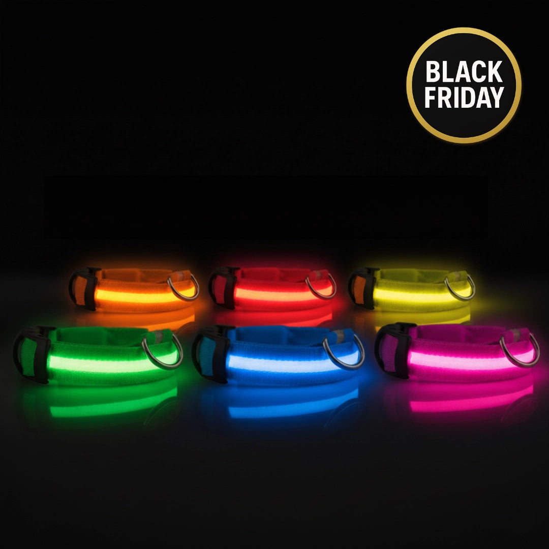 SafeLight™ – Collier Lumineux pour Chien