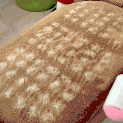 La Brosse Magique™ – Éliminez les poils en un geste