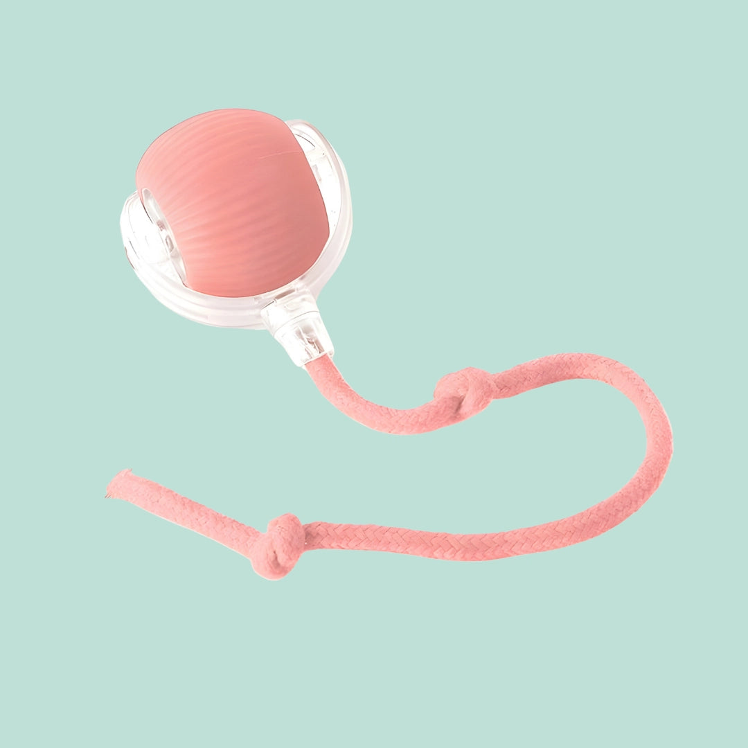 PlayPaw™ – Balle intelligente