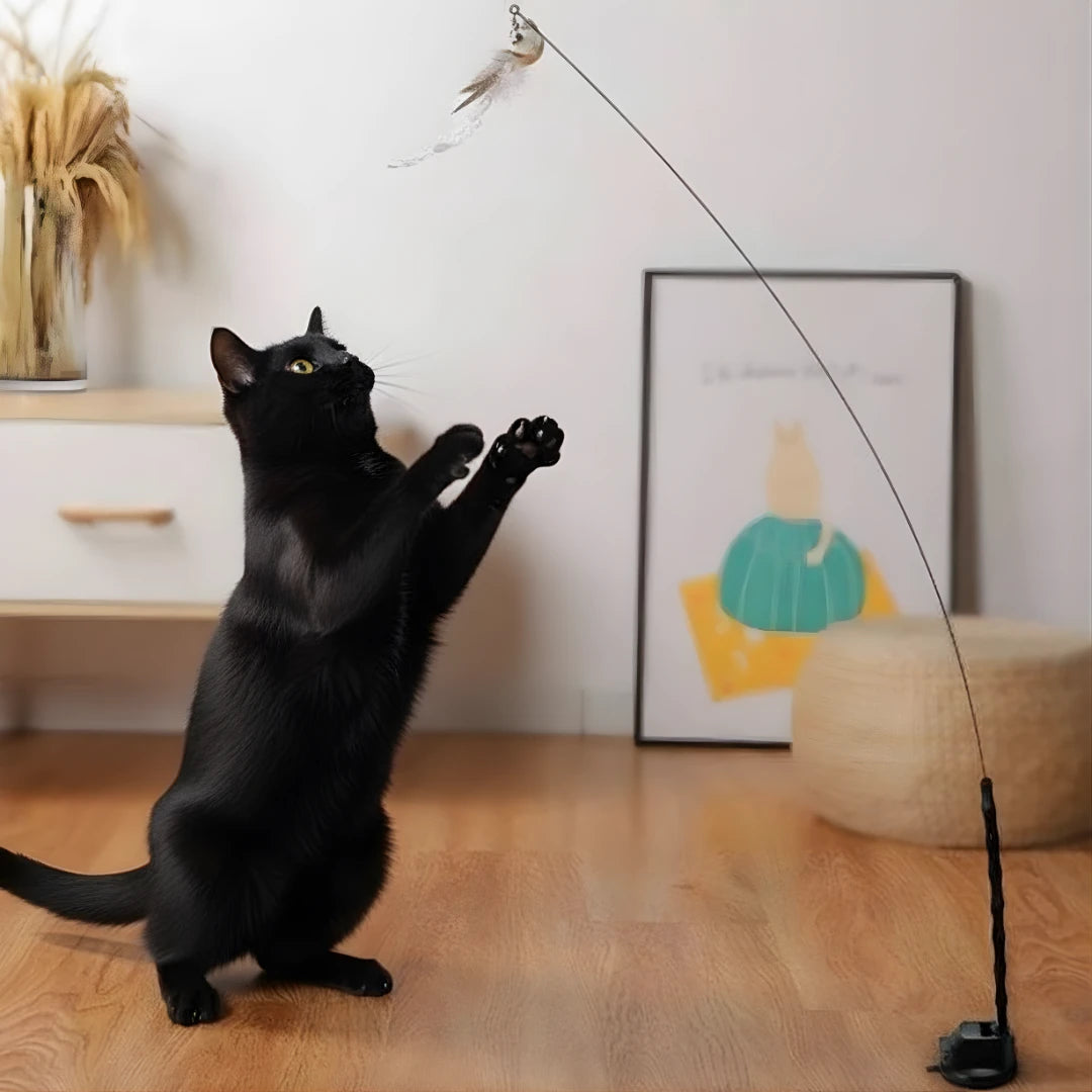 Set Original – Simulateur de chasse à l’oiseau