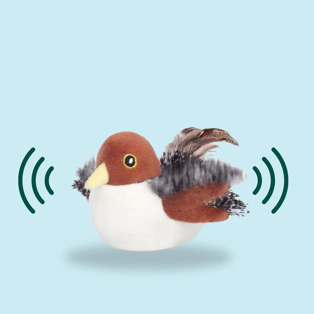 Plume™ - Oiseau réaliste pour chats
