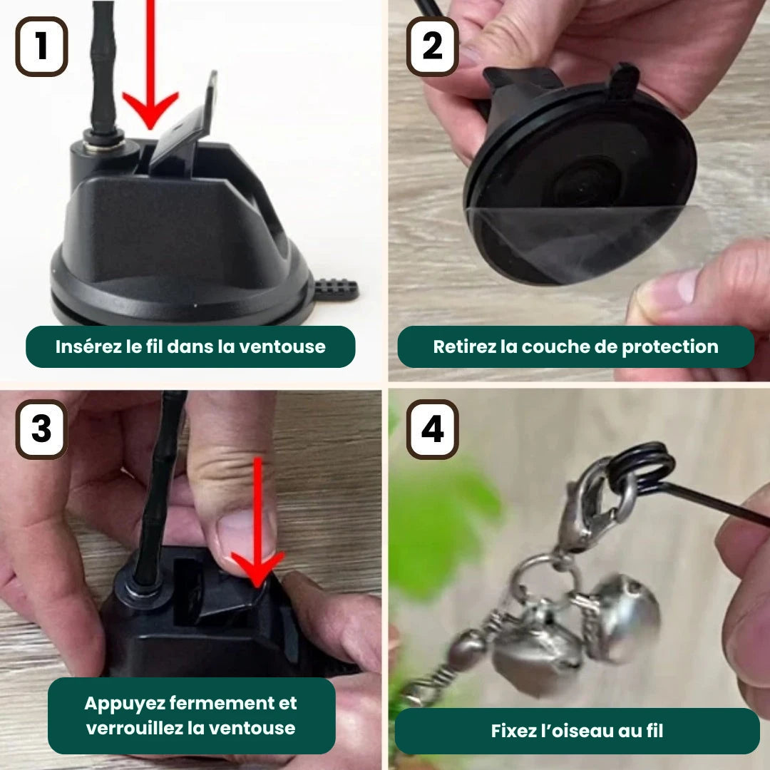 Set Original – Simulateur de chasse à l’oiseau