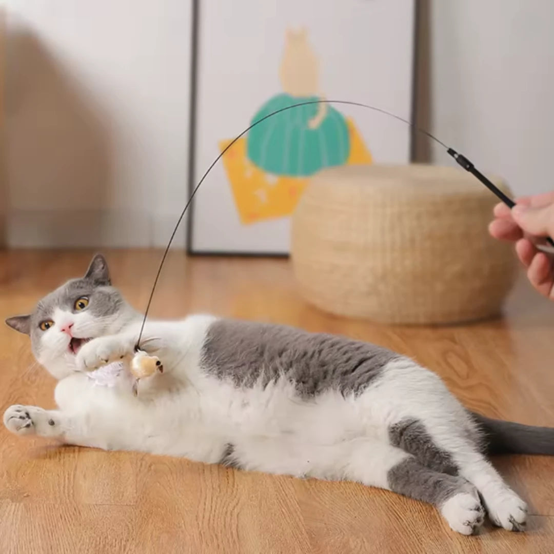 Set Original – Simulateur de chasse à l’oiseau