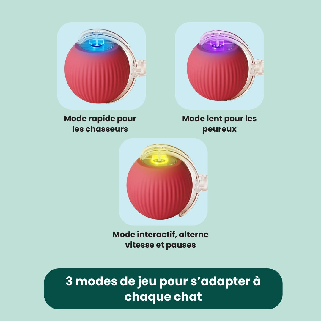 PlayPaw™ – Balle intelligente