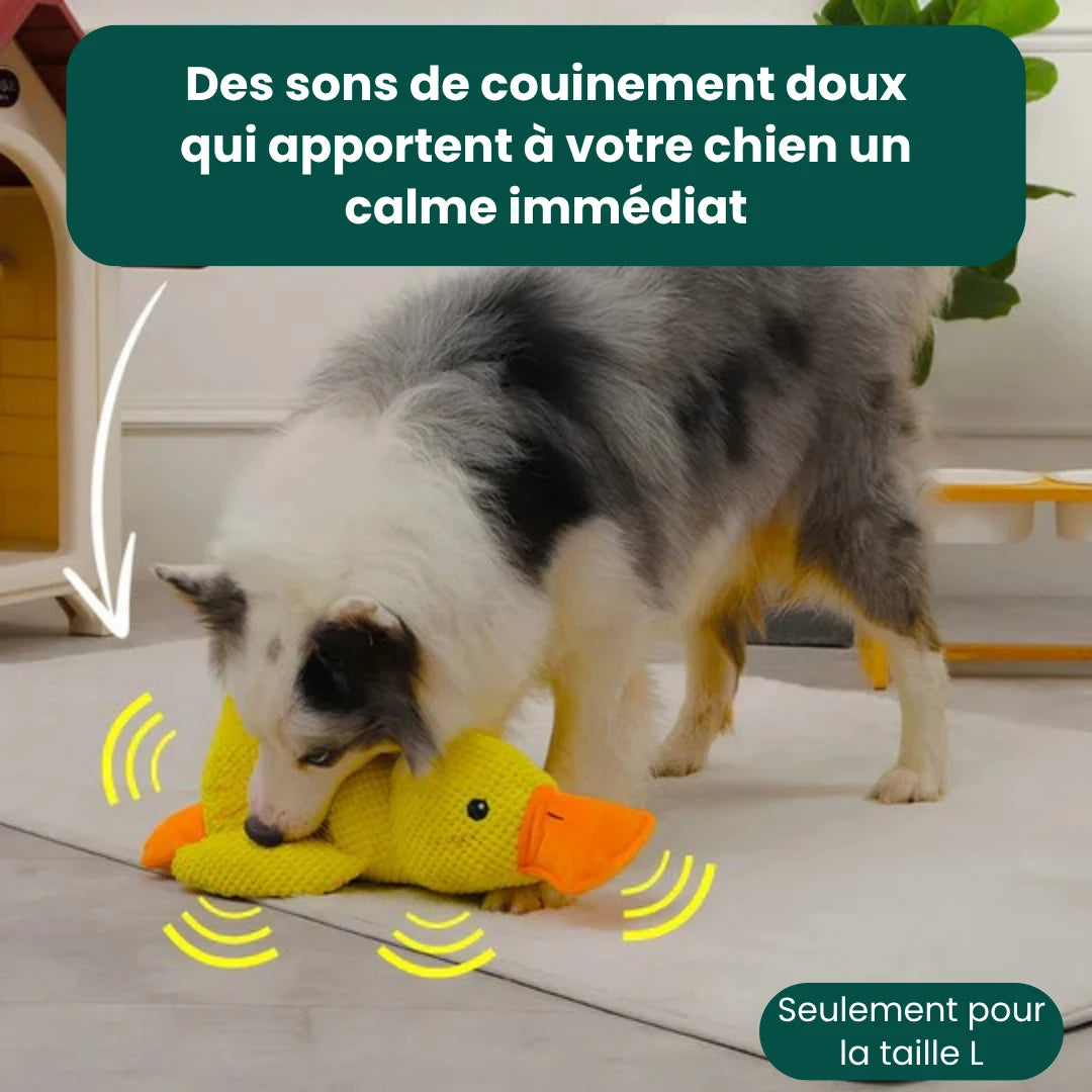 CalmPaw™ - Canard Anti-Stress