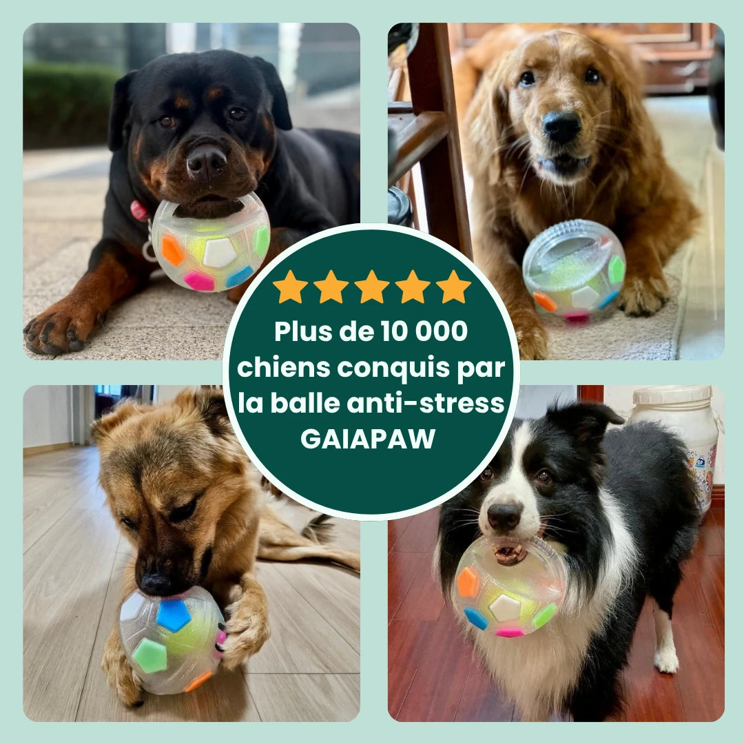 Zenpaw™ - Balle Anti-Stress