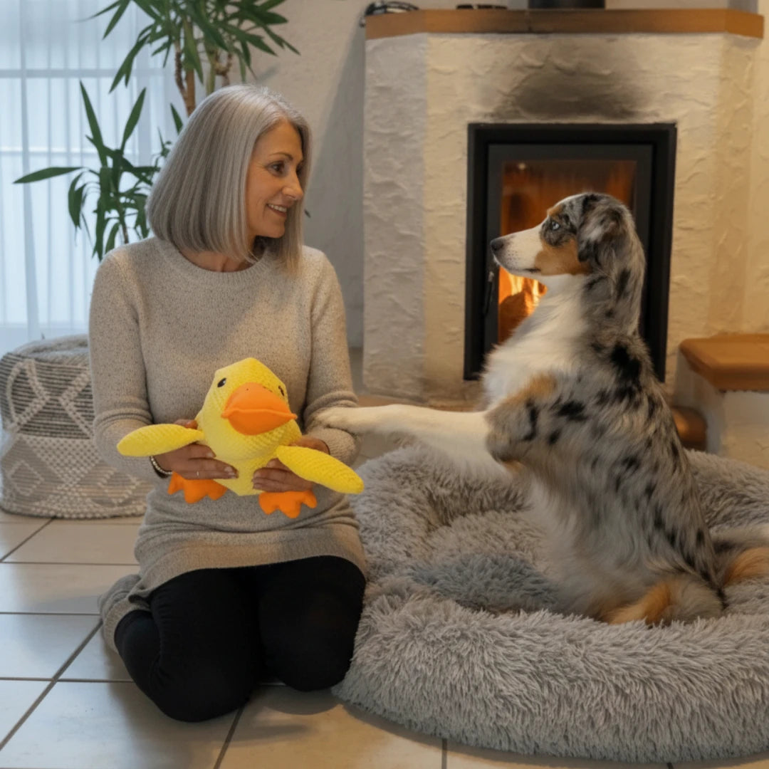 CalmPaw™ - Canard Anti-Stress