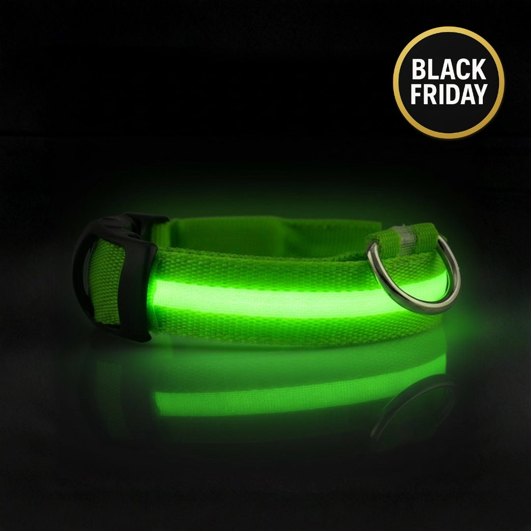 SafeLight™ – Collier Lumineux pour Chien
