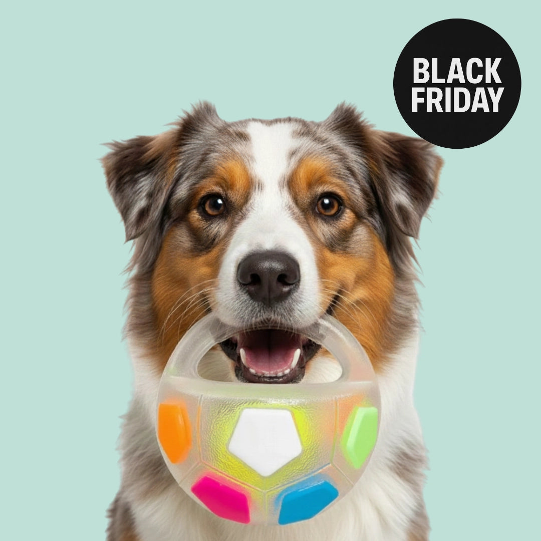 Zenpaw™ - Balle Anti-Stress