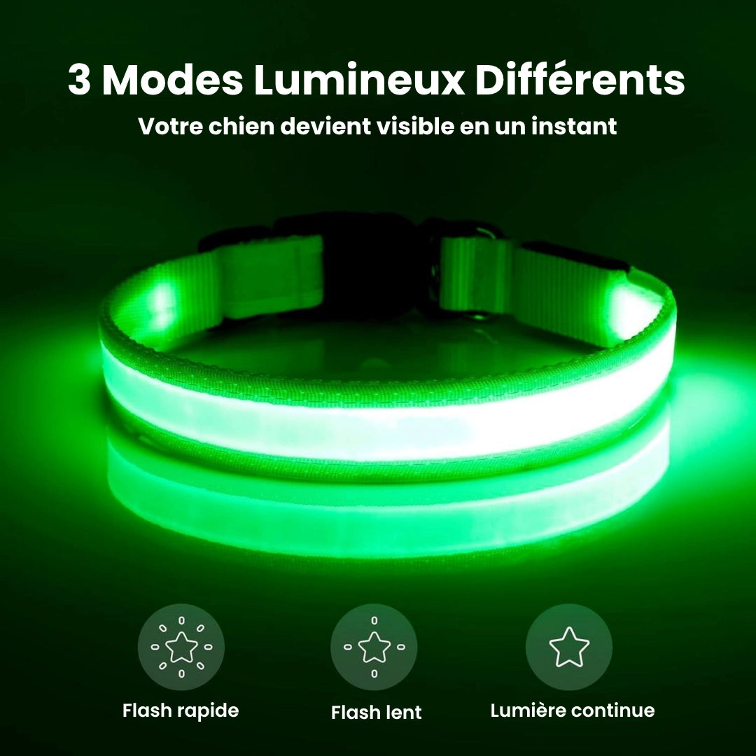 SafeLight™ – Collier Lumineux pour Chien