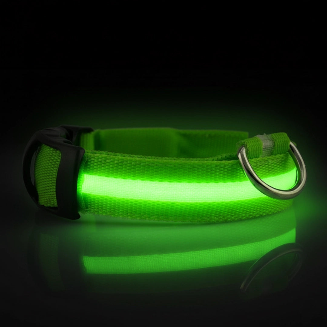 SafeLight™ – Collier Lumineux pour Chien