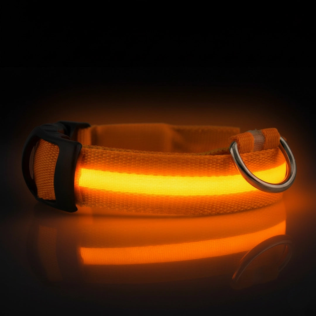 SafeLight™ – Collier Lumineux pour Chien
