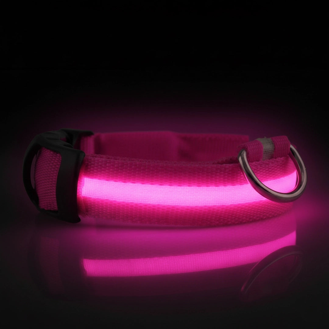 SafeLight™ – Collier Lumineux pour Chien