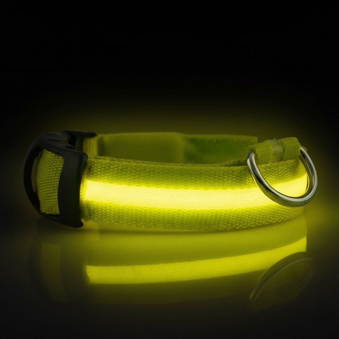 SafeLight™ – Collier Lumineux pour Chien