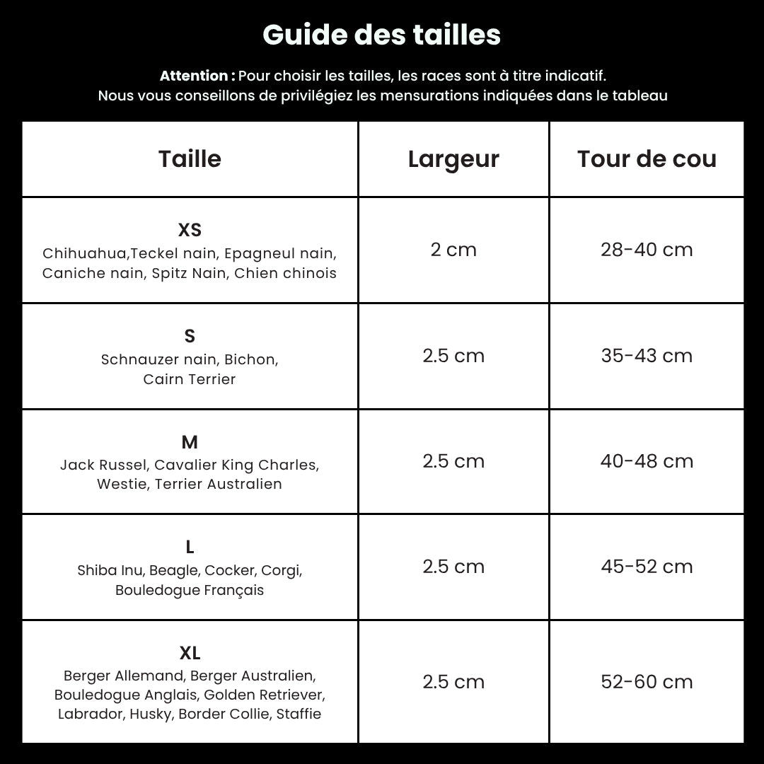 SafeLight™ – Collier Lumineux pour Chien