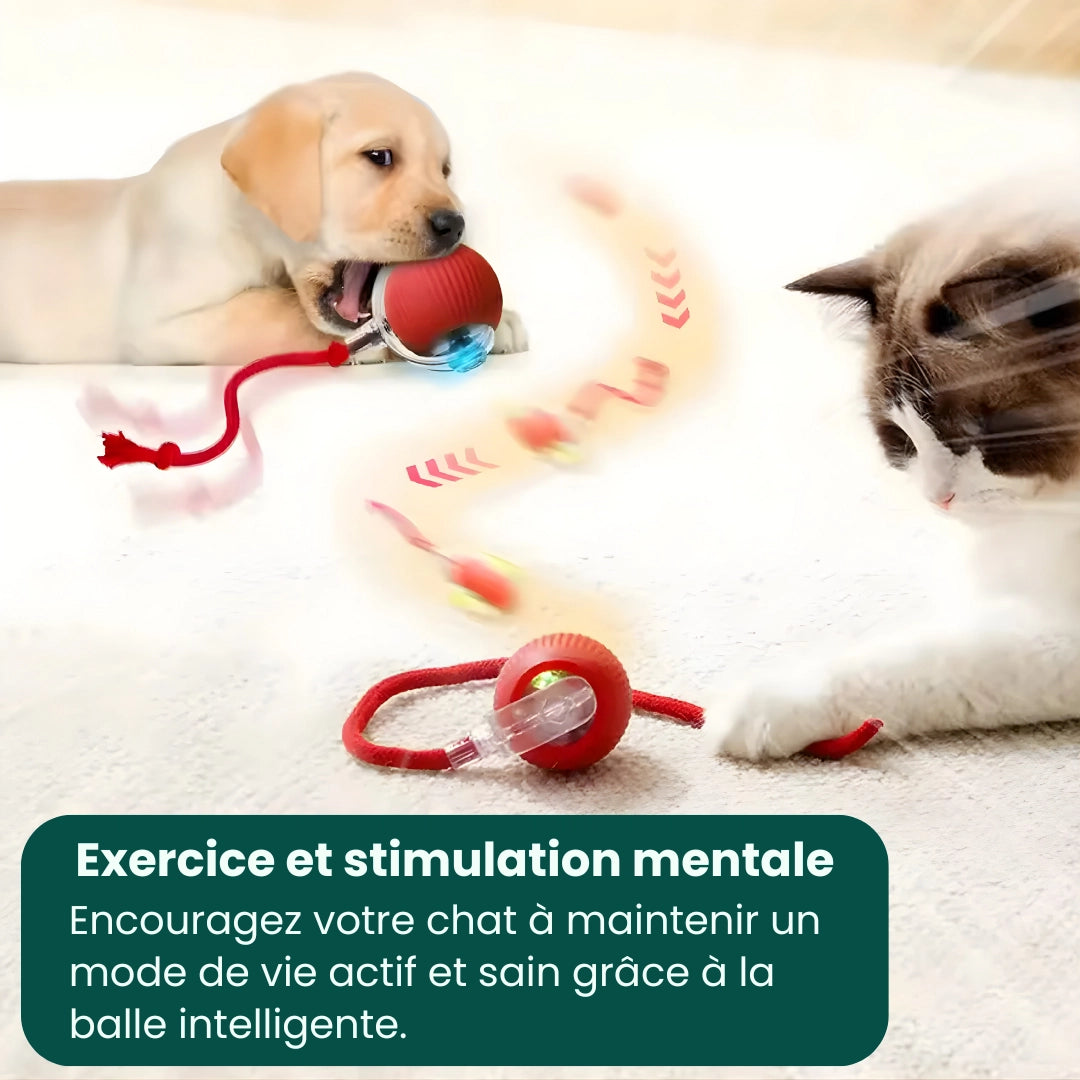 PlayPaw™ – Balle intelligente