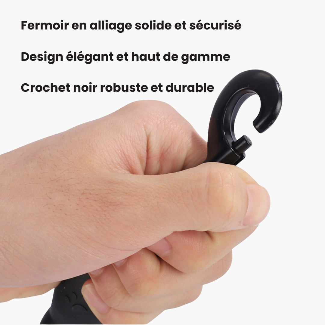 Laisse pour chien réfléchissante