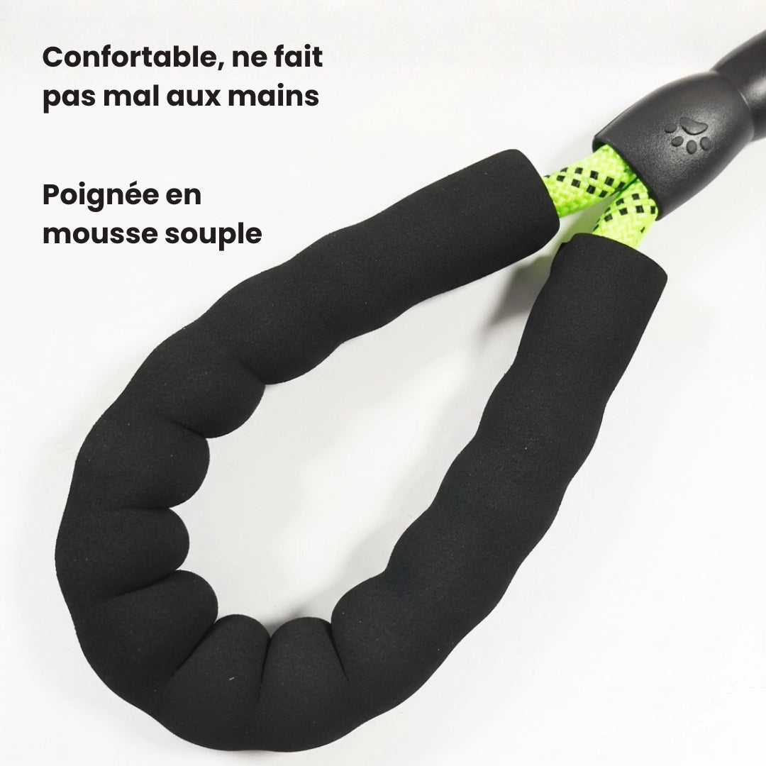 Laisse pour chien réfléchissante