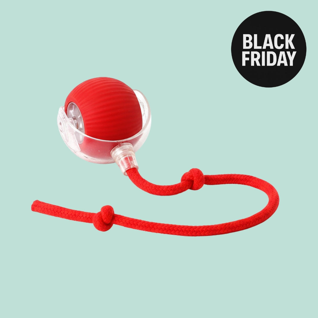 PlayPaw™ – Balle intelligente