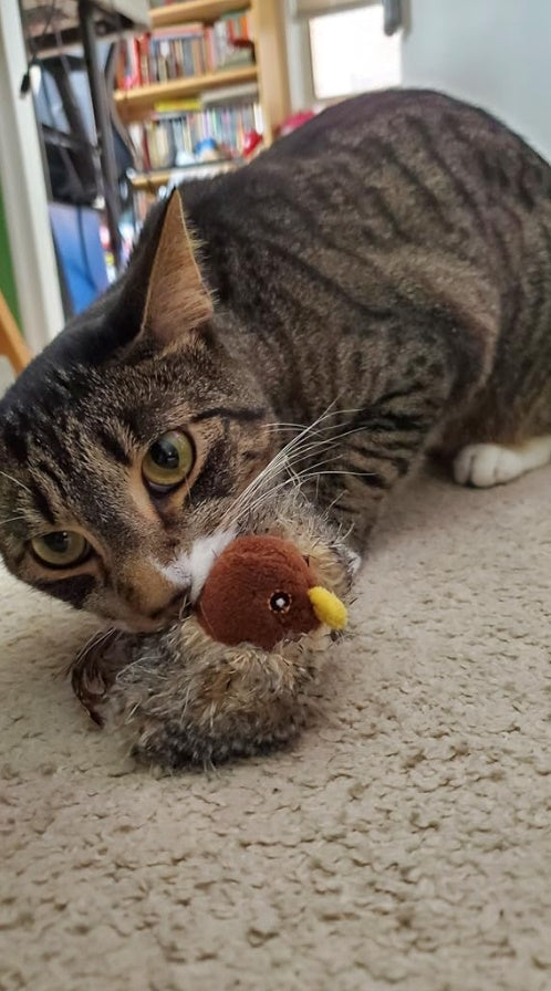 <h3><strong>Découvrez pourquoi des milliers de propriétaires de chats en sont fans</strong></h3>